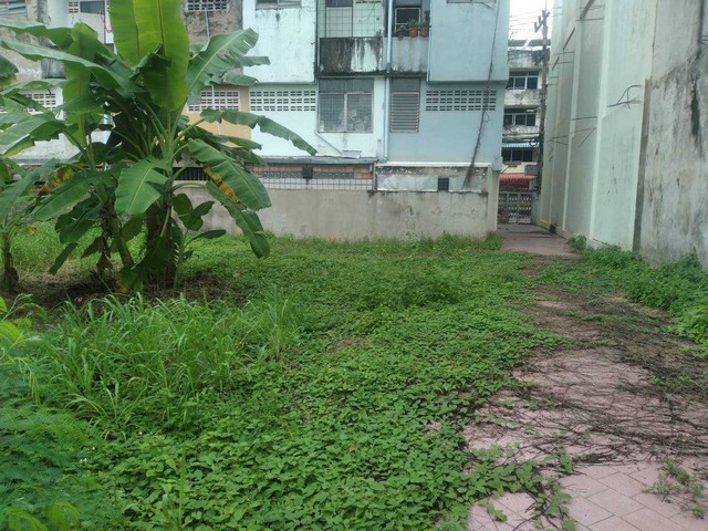 ขายที่ดินสวยใจกลางเมืองสุราษฎร์ เนื้อที่ 179.6 ตารางวา  ใกล้ศาลหลักเมือง สุราษฎร์ธานี  ZST210