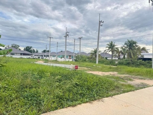 ที่ดินแปลงสวย น้ำไฟฟ้าเข้าถึง แบ่งแปลงเรียบร้อย ต้นงิ้ว สันผักหวาน 