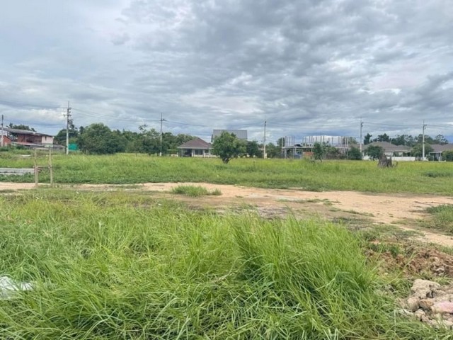 ที่ดินแปลงสวย น้ำไฟฟ้าเข้าถึง แบ่งแปลงเรียบร้อย ต้นงิ้ว สันผักหวาน