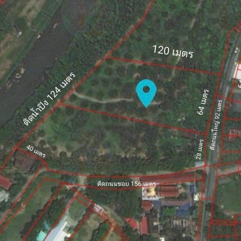 ขายที่ดินติดน้ำปิง ราคาไร่ละ 15 ล้าน ติดถนนใหญ่ แม่ริม เนื้อที่ 2 แปลงรวมกัน 10-3-66 ตรว. แถมที่งอกเกือบ 2 ไร่