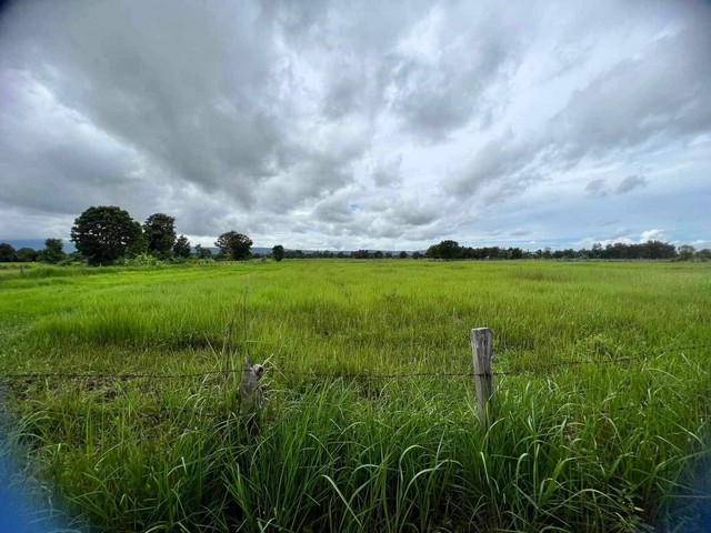 ขายด่วน ที่ดิน 10 ไร่ ต.โคกมั่งงอย  อ.คอนสวรรค์ จ.ชัยภูมิ