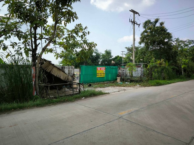 ขายที่ดินสวยพระราม 2 ถมแล้ว  เนื้อที่ 1-1-46 ไร่ ซ.วัดบางพลี  บางโทรัด สมุทรสาคร   ZW495