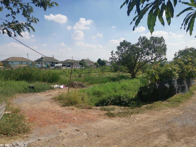 ขายที่ดิน เนื้อที่ 100 ตร.ว. ซอยวัดลาดปลาดุก ใกล้ รถไฟฟ้า MRT สายสีม่วงสถานีคลองบางไผ่ และใกล้แหล่งสาธารณูปโภค  อ.บางบัวทอง จ.นนทบุรี