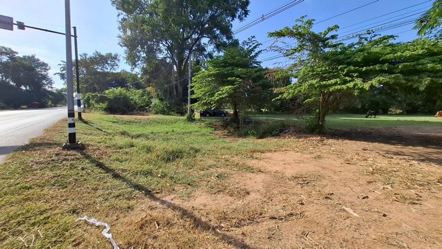 ขายด่วน ที่ดิน 1 ไร่ ติดถนนดำ แจ้งสนิท ใกล้แม่น้ำชี อ.ชนบท จ.ขอนแก่น   ZE779