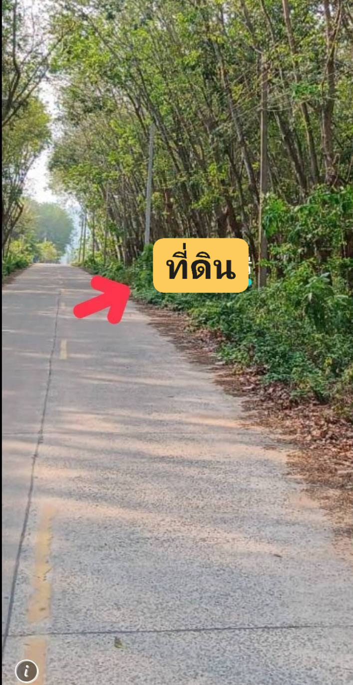 ขายที่ดินแปลงสวยทำเลดี​ ผังสี ม่วงลายต 38-1- 49ไร่.ศรีราชา จ.ชลบุรี