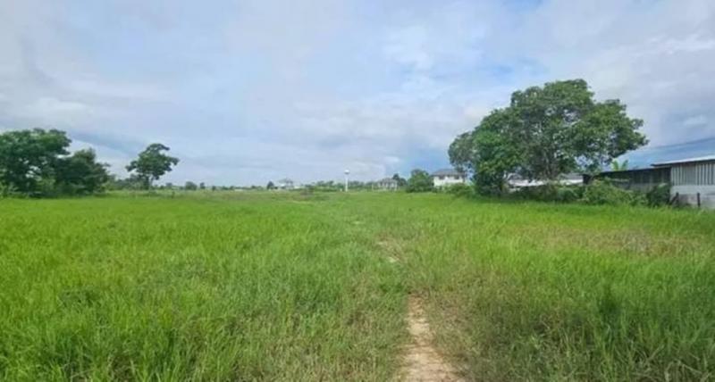 ขายยกแปลง 5,320,000 บาท 2-0-46 ตรว. ดอยสะเก็ด ติดอรสิริน ที่ดินถมแล้ว สามารถสร้างบ้านขายได้เลย น้ำประปา ไฟฟ้าพร้อม