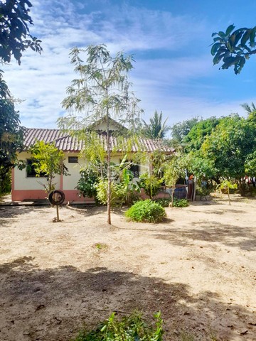 ขายบ้านเดี่ยวชั้นเดียว พร้อมที่ดินสวนผลไม้ อำเภอเดิมบางนางบวช เนื้อที่ 1 ไร่ 2 งาน ขายเพียง 1,800,000 ล้านบาท