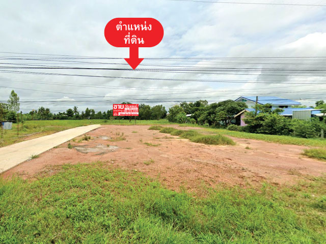 ขายที่ดิน 7 ไร่ 58.5 ตารางวา ตำบลชุมเห็ด อำเภอเมืองบุรีรัมย์ จังหวัดบุรีรัมย์  ที่ดินแปลงใหญ่ สามารถแบ่งได้ ตอบโจทย์นักลงทุนทุกท่าน ที่ดินติดถนนคอนกรีต สะดวกสบาย  ซื้อลงทุนได้กำไรอย่างแน่นอน...ด้วยทำเล ใกล้สิ่งอำนวยความสะดวกครบครัน ข้อมูลทรัพย์ http://tnyurl.au/UK9540รหัสทรัพย์: KRUK95040ทำเลศักยภาพน้ำ-ไฟเข้าถึง รายล้อมไปด้วยโครงการบ้านจัดสรร เป็นโซนพื้นที่ทำเลทองที่ ตอบโจท