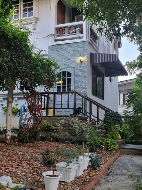 ขายบ้านเดี่ยวขนาดใหญ่ 242 ตร.วา ซอยบางแวก 9  ใกล้ The Circle ,รพ.พญาไท 3 **ขายขาดทุนเฉพาะที่ดินก็คุ้มแล้ว