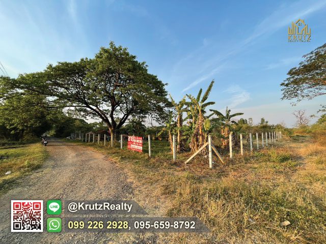 ขายด่วนขายที่ดิน 262 ตรว. แปลงสวย ถูกมาก ที่ดินปรับหน้าดินพร้อม ทำเลใจกลางเมือง ต.อิสาณ อ.เมืองบุรีรัมย์ จ.บุรีรัมย์