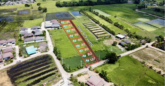 โอกาสทองมาถึงแล้ว!!! ที่ดินแบ่งล็อค  ราคาต่ำกว่าตลาด ในฉะเชิงเทราจองวันนี้ รับส่วนลดทันที 100,000 บาทจะสร้างบ้าน หรือ เก็บไว้ลงทุนก็ดี- แปลงละ 80 ตร.ว./ล็อค (18x18 ม.)- ติดถนนสาธารณะทุกแปลง- น้ำ/ไฟ เข้าถึงทุกแปลงต.วังเย็น อ.แปลงยาว จ.ฉะเชิงเทราที่ดินอยู่ตรงถนนเส้น 3121 ถนนสายบางคล้า-แปลงยาว ตำแหน่งแปลงที่ดิน https://maps.app.goo.gl/XwoAuhABpVSabBf17มีแบบบ้านให้เลือก  ฟรี  มีทีมผู้เชี่ยวชาญช่วยขอสินเ