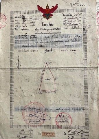 ขายที่ดิน ติดถนนชุมชน ใกล้ตลาดสดบ้านกาด ยุหว่า สันป่าตอง