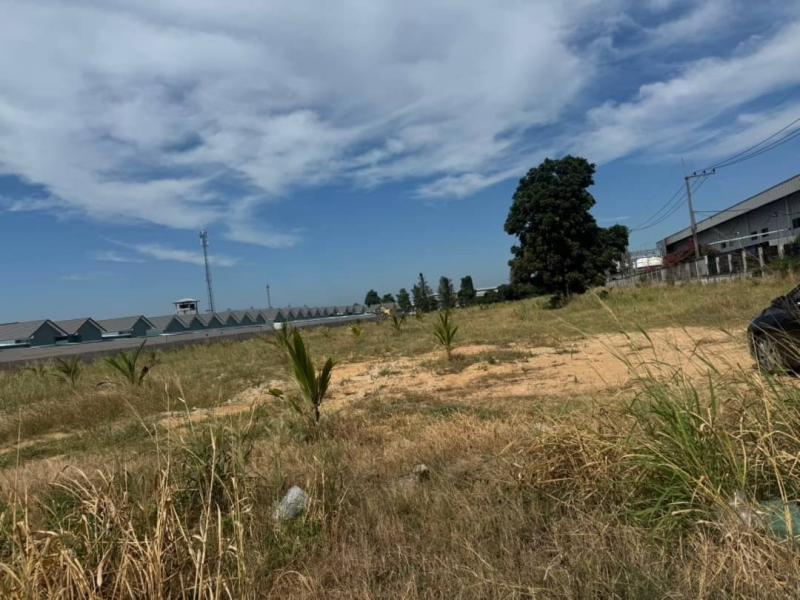 ขายที่ดิน​แหลมฉบัง ศรีราชา ใกล้นิคมปิ่นทอง 1ชลบุรี​ ที่ดินจำนวน​   13 ไร่ ที่ดืนผังม่วงลาย