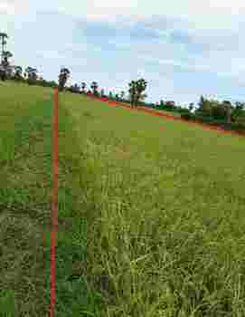 ขายที่ดินเปล่าติดถนน ทำเลทอง อำเภอเมืองเพชรบุรี จังหวัดเพชรบุรี