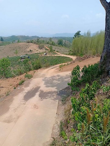 ที่ดิน ที่ดิน ต.ปอน อ.ทุ่งช้าง จ.น่าน  ขนาด 163303 SQ.WA 73400000 BAHT. ไม่ไกลจาก ห่างด่านตรวจคนเข้าเมืองไทยลาวประมาณ 25 กิโลเมตร หั่นราคา ที่ดินผืนใหญ่ มีต้นไม้นานาชนิด ร่มรื่้น สามารถนำพัฒนาเป็นรีสอร์ต, บ้านพักตากอากาศ และบ้านสวน รวมถึงลานแคมป์ปิ้ง