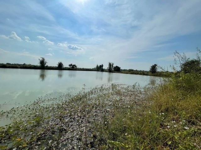 ที่ดินสวย บ้านแป้น ถมเรียบร้อย มีบ่อน้ำ โซนลำพูน