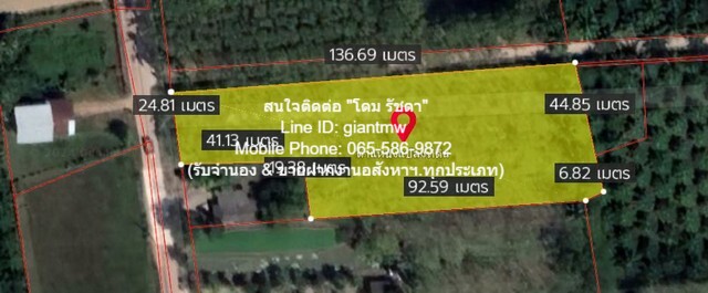 พื้นที่ดิน ที่ดิน พร้อมสวนเกษตร (สวนยาง+มะพร้าว) ต.ชัยบุรี อ.เมืองพัทลุง จ.พัทลุง เดินทางสดวกสบาย พัทลุง   