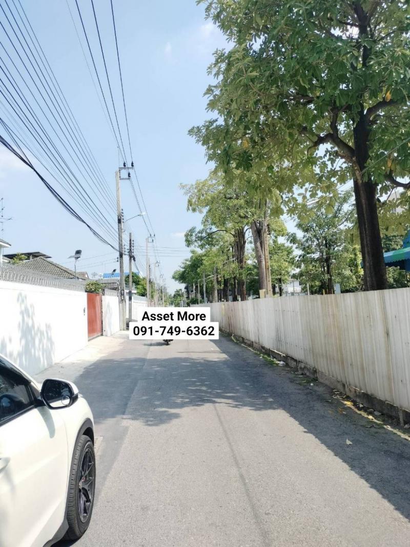 ขายที่ดิน แปลง สวย เนื้อที่ 1 ไร่  ทำเลดีมาก ใกล้ตลาด  ใกล้คาเฟ่ร้านอาหาร ถนนกว้าง