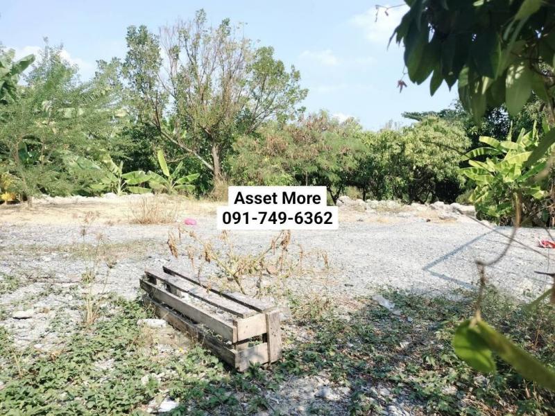 ขายที่ดิน แปลง สวย เนื้อที่ 2 งาน  ทำเลดีมาก ใกล้ตลาด  ใกล้คาเฟ่ร้านอาหาร ถนนกว้าง สภาพแวดล้อมดี  เหมาะสร้างบ้าน ทำคาเฟ่ ตึกอาคาร สำนักงาน