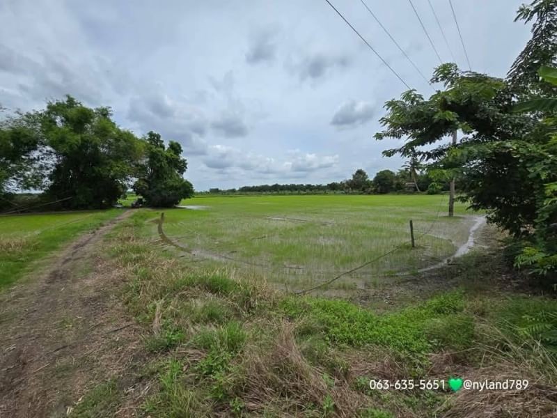 ขายที่สวยติดถนนลาดยาง ต.บ้านพริก อ.บ้านนา จ.นครนายก 31 ไร่ 1 งาน 28 ตรว. การเดินทางสะดวกสบายถนนดีตลอดเส้นทาง