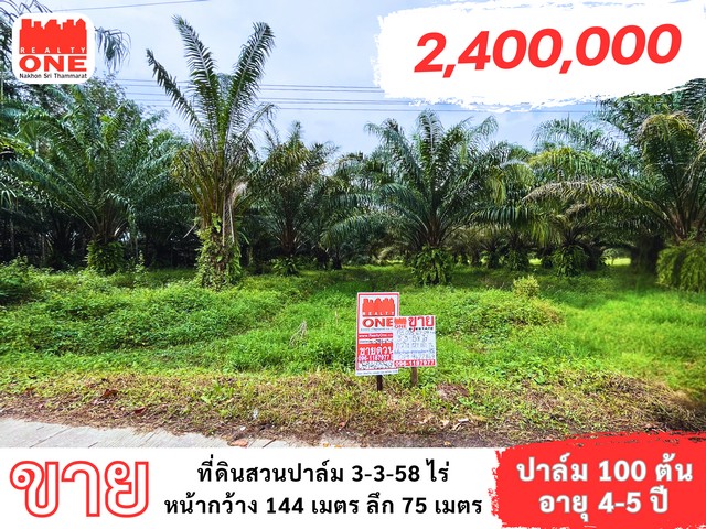 ที่ดินสวนปาล์ม เนื้อที่ 3-3-58 ไร่ปาล์มจำนวน 100 ต้น อายุ 4-5 ปี ผลผลิตครั้งละ 1 ตันลงทุนก็คุ้มค่า พร้อมสร้างรายได้ทันที ไม่ต้องรอนานเป็นปีห่างจากโรงเรียนบ้านขุนทะเล เพียง 700 เมตรพิกัด ต.กะหรอ อ.นบพิตำ จ.นครศรีธรรมราช ราคาเพียง 2,400,000 บาท  เนื้อที่ 3-3-58 ไร่หน้ากว้าง 144 เมตร ลึก 75 เมตรเหมาะสำหรับลงทุนในด้านการเกษตรปาล์มพร้อมให้ผลผลิต สร้างรายได้ทันทีสถานที่ใกล้เคียง- โรงเร