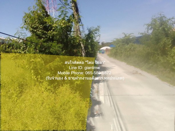 พื้นที่ดิน ขายที่ดินเปล่าถมแล้ว (ถูก และดีที่สุดในตลาด) 1-0-0 ไร่ (400 ตร.ว.) ซ.โยธินพัฒนา (ใกล้เลียบด่วนรามอินทรา) ราคา 48 ล้านบาท (120,000 บาท/ตร.ว.) 0 ตร.ว. 0 งาน 1 ไร่    ราคาสุดพิเศษ กรุงเทพ