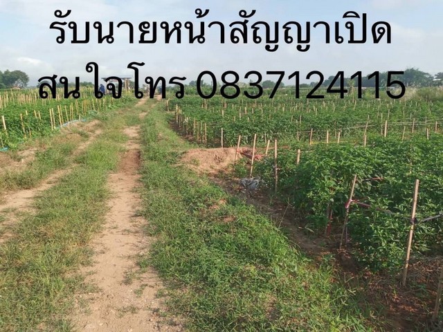 เริ่มศักราชใหม่2025กับทรัพย์ที่ดี ที่สวยติดแม่น้ำน่าน น้ำใสไหลรินตลอดปี  ต.ศรีภูมิ อ.ท่าวังผา จ.น่าน ขาย 800000  วิวดีสวยมาก 0968821857