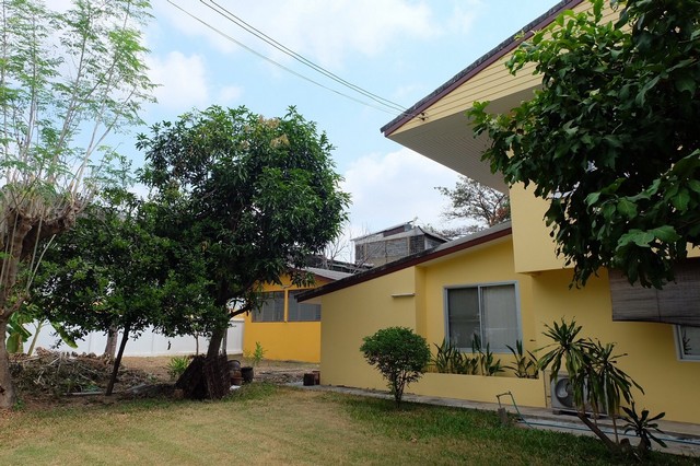 P231 ขายที่ดิน พร้อมสิ่งปลูกสร้าง บ้านเดี่ยว  อินทามระ  ถ. สุทธิสารวินิจฉัย แขวงสามเสนใน เขตพญาไท ใกล้ BTS สะพานควาย 650 เมตร