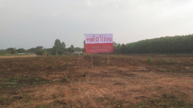 ขายที่ดิน เกาะขนุน 16 ไร่ 3 งาน อำเภอพนมสารคาม ฉะเชิงเทรา