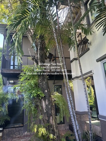 บ้าน ขายบ้านเดี่ยวหรู 2 ชั้น (3 หลัง) ถ.พัฒนาการ 136.9 ตร.ว. 5 น 5 น้ำ 4 จอดรถ (ห่าง ซ.ทองหล่อ 10 นาที), ราคา 54 ล้านบาท พท. 137 ตร.ว. 5BEDROOM ใกล้กับ ซอยทองหล่อ 5.5 กม. หรือสนามบินสุวรรณภูมิ 15 กม. โครต-ถูก
