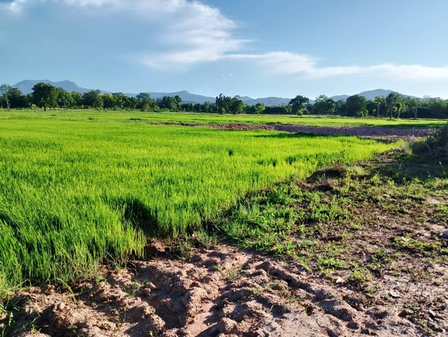 ที่ดินเปล่า 3  ไร่  ติดถนน  วิวสวย  ต.เมืองเก่า อ.เมือง  จ.สุโขทัย   ZN654