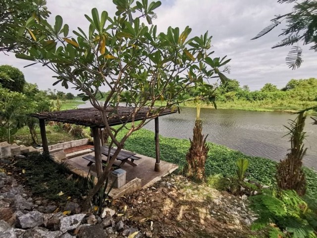 บ้านติดน้ำ บรรยายกาศร่มรื่น หลังใหญ่ ใกล้ธรรมชาติ สันป่าตอง