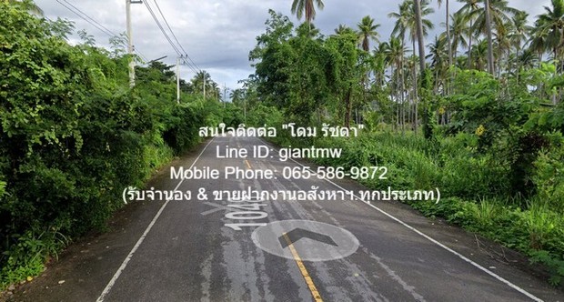 ที่ดิน ืที่ดิน ทับสะแก จ.ประจวบคีรีขันธ์ 40000 THAI BAHT  พ.ท. 0 ตารางวา 0 งาน 40 RAI   หั่นราคา