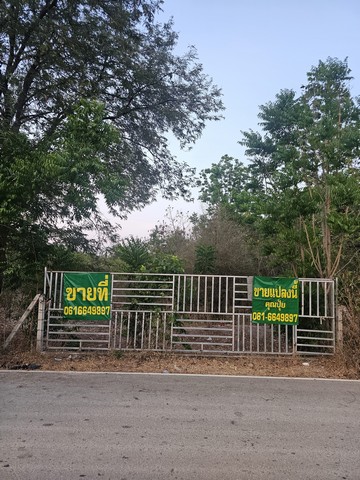 ขายที่เปล่าราชบุรีติดถนนทางหลวงชนบทขายที่ดินใกล้หลวงพ่อวิริยังค์ต.หินกอง อ.เมือง จ.ราชบุรีเนื้อที่ 10 ไร่ 1 งาน 50 ตร.วขายไร่ละ 500,000 บาทติดถนนหน้ากว้าง70ม.ลึก230ม.ใกล้ศูนย์การเรียนรู้เศรษฐกิจพอเพียงใกล้ศูนย์ปฏิบัติธรรมหลวงพ่อวิริยังค์สนใจติดต่อคุณอัมราภัสร์Tel : 062-5566954Line ID : 0616649897