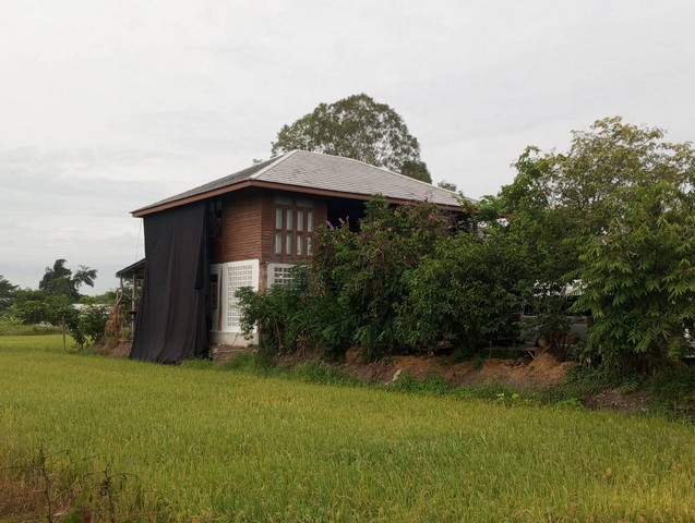 ต้นมกราเลือกเฟ้นหาทรัพย์ทรงมูลค่า ทรัพย์สวยให้เช่าบ้านไม้ถ่ายหนังถ่ายละคร MV โฆษณา หนังสั้น คอนเท้นท์ บ้านสวยวิวทุ่งนา ไทรน้อย 0968821857
