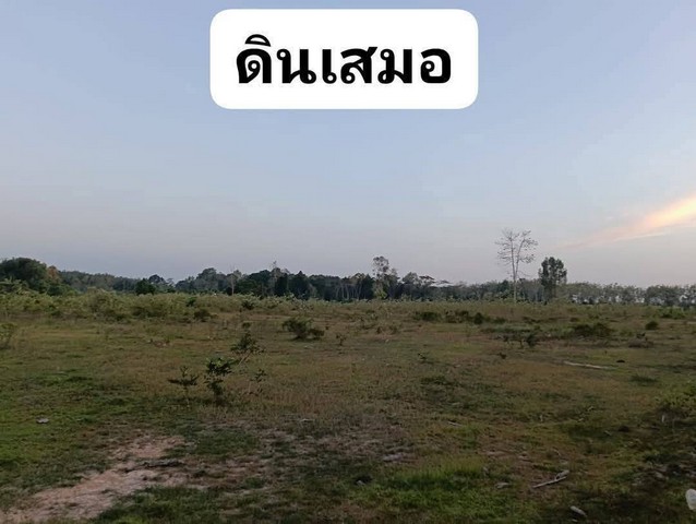 ขายที่ดิน ใกล้สนามบินตรัง ผืนใหญ่ทำเลสวย ตำบลควนปริง อำเภอเมือง จังหวัดตรัง