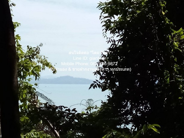 ขายที่ดินสวนป่า บนเนินไหล่เขา วิวทะเล (Seaview) เกาะสิเหร่ ภูเก็ต 1-2-16.1 ไร่ (ห่างชายทะเล 100 ม.), ราคา 76,826,250 บาท (15 ล้านบาท/ไร่)