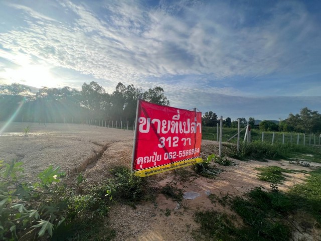 ขายที่เปล่าหัวหินถมแล้วขายที่เปล่านาตาช้าง1ติดถนนทางหลวงหัวนาทับใต้ต.หนองแก อ.หัวหิน จ.ประจวบคีรีขันธ์เนื้อที่ 312 ตารางวาหน้ากว้างติดถนน 25 ม.ลึก 50 ม.ขายตารางวาละ 26,000 บาทต่อวารวม 8,112,000 บาทแหล่งชุมชน หมู่บ้านหัวนาสนใจติดต่อคุณอัมราภัสร์Tel : 062-5566954Line ID : 0616649897#ขายที่หัวหิน #ขายที่ประจวบ#ขายที่หนองแกหัวหิน