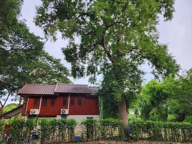 ขายที่ดินแปลงสวยติดริมแม่น้ำ ตำบล แคตก อำเภอบางไทร จังหวัดอยุธยารหัส AOM 1635 โอกาสทองสำหรับผู้ที่มองหาที่ดินริมน้ำ! พื้นที่เงียบสงบ มีวิวแม่น้ำสุดตระการตา เหมาะสำหรับการสร้างบ้านพักอาศัย หรือทำรีสอร์ท ตำแหน่งที่ตั้งสะดวกสบาย ใกล้กับแหล่งท่องเที่ยวสำคัญของอยุธยา เป็นเจ้าของที่ดินผืนนี้แล้วรับรองว่าคุณจะได้สัมผัสกับความงดงามของธรรมชาติอย่างแท้จริง
