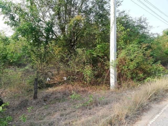 บ้านที่ดินทำเลดีที่ตั้งเยี่ยม ขายที่สวยติดทางหลวง1107 บ้านตาก จ.ตาก คมนาคมสะดวก ไร่ละ 300000 ต.ตากตก อ.บ้านตาก  จ.ตาก  0837124115