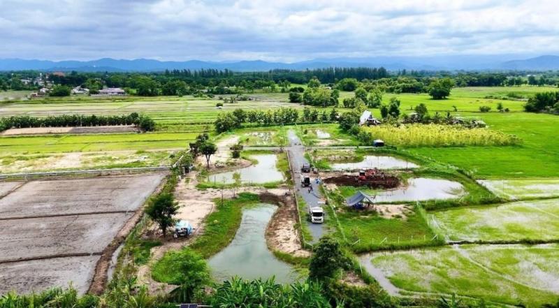 ที่ดินเปล่าแบ่งขาย ตรว.ละ 6,000 บาท 318-400 ตรว. #แม่ปูคา #สันกำแพง พร้อมบ่อน้ำทุกแปลง วิวทุ่งนา และภูเขาล้อมรอบ บรรยากาศร่มรื่น