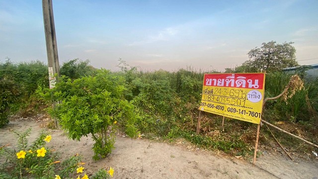 ให้เช่าบ้านเดี่ยว 2 ชั้น 3 ห้องนอน ถนนคุ้มเกล้า ใกล้ถนนเจ้าคุณทหาร รีโนเวทใหม่ทั้งหลัง ตรงข้ามตลาดคุ้มเกล้า