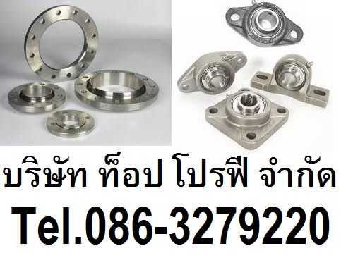 บริษัท ท็อป โปรฟี จำกัด ก่อตั้งขึ้นด้วยความมุ่งมั่นที่จะเป็นผู้นำเข้าสินค้าจากต่างประเทศ และ จัดหาสินค้าภายในประเทศ ที่มีคุณภาพ และราคาถูกเพื่อตรงตามความต้องการของลูกค้า เช่น ข้อต่อ (Fitting), หน้าแปลน (Flange), ท่อ (Pipe) ,วาล์ว (Valve) , Strainer , Sight Glass , Filter, Valves , Rotating Equipment และเหล็กโครงสร้าง โดยครอบคลุมธุรกิจทั้งทางด้านปิโตรเคมี กระดาษ ปูนซีเมนต์ โรงไฟฟ้า อิเล็กโทรนิค เหล็ก และอุตสาหกร