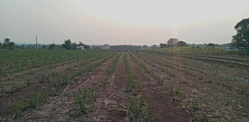 ขายที่ดินเปล่าทำเลดี ที่ดิน  20 ไร่ ต.พัฒนานิคม อ.พัฒนานิคม จ.ลพบุรี