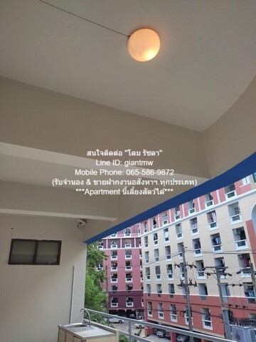 ต้องการให้เช่า apartment Apartment ให้เช่า รามคำแหง 43/1 1 Bedroom 8 ตร.วา 5000 B.   สภาพแวดล้อมดี