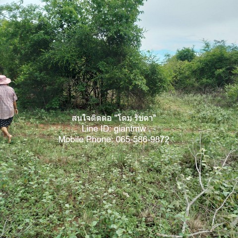 ที่ดิน บ.ทุ่งเคล็ด ต.วังจันทร์ อ.แก่งกระจาน จ.เพชรบุรี 17 ไร่ 2 งาน 96 ตรว.  7700000 BAHT. DEAL!! เป็นที่ดินการเกษตรแปลงใหญ่ที่ตั้งอยู่ในทำเลที่ไม่ไกลจากชุมชน ราคาดี และเหมาะสมสำหรับการนำเอาไปพัฒนาเป็นบ้านสวนสไตล์โคกหนองนาต่อไป