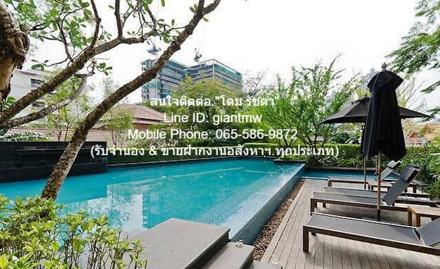 CONDOMINIUM ไฮฟ์ สุขุมวิท 65 ใกล้กับ ใกล้ BTS เอกมัย 16000 thb  พื้นที่ 40 ตรม เดินทางง่าย กรุงเทพ