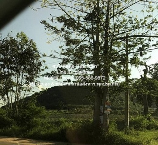 ที่ดิน ขายที่ดินเปล่าปากน้ำปราณ (ห่างชายทะเลปากน้ำปราณ 3 กม.) 335.5 ตร.ว. ขนาด 200 ตาราง-วา  ใกล้กับ ห่างจากชายทะเลปากน้ำปราณ ประมาณ 3 กม. ราคาถูกกว่าตลาด ประจวบคีรีขันธ์