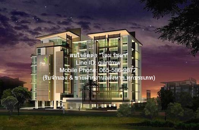condo Tree Condo Sukhumvit 52 ขนาดพื้นที่ 44 ตร.-ม. 1 BEDROOM ใกล้กับ รถไฟฟ้า BTS อ่อนนุช 250 ม. สภาพแวดล้อมดี เป็นคอนโดพร้อมอยู่ มีการตกแต่งภายในเพิ่มเติมได้แบบเรียบหรู และมีทำเลสวยสามารถมองเห็นวิวเมือง พร้อมพื้นที่ส่วนกลาง และสิ่งอำนวยความสะดวกครบค