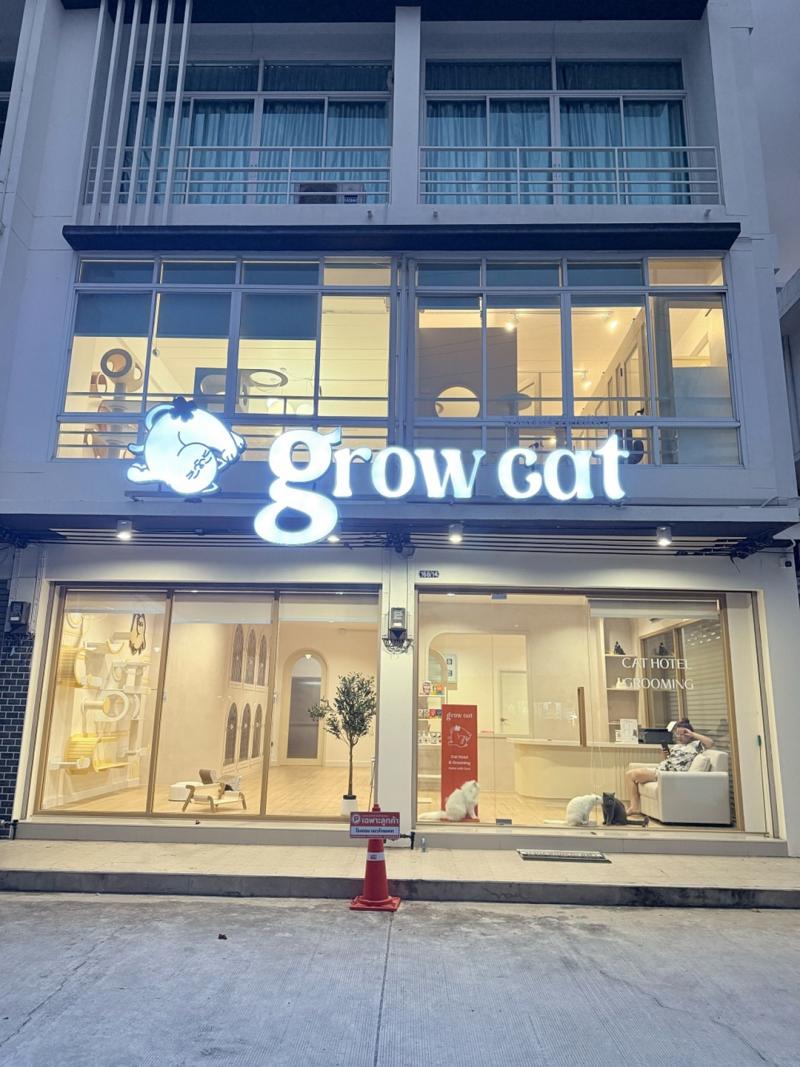 เซ้งโรงแรมแมว-อาบน้ำแมว เมืองชลบุรี หลังเซนทรัลชลบุรี หน้าร้านติด 7-11 ทำเลดีมาก